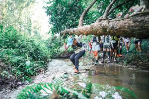 BIB: 
                            <button type="button" onclick="openModal(25468550)" class="btn btn-primary btn-sm float-right btn-popup" data-toggle="modal" data-target=".modal-high-quality">
                        <i class="fas fa-shopping-cart"></i> Add to Cart
                    </button>
                                            <button type="button" onclick="isThisMe(25468550, true)" class="btn btn-success btn-sm float-right btn-popup btn-isme hidden" data-toggle="tooltip" data-placement="bottom" title="นี่คือรูปของคุณใช่ไหม คลิกที่นี่เพื่อเอาเข้าอัลบั้ม">
                        <i class="fas fa-plus"></i> Add to album
                    </button>
                    <button type="button" onclick="isThisMe(25468550, false)" class="btn btn-warning btn-sm float-right btn-popup btn-isnotme hidden">
                        <i class="fas fa-ban"></i> Remove from album
                    </button>